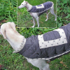 dog_suit_bespoke_recycled_oragnic_fairtrade_healthy_fancy
